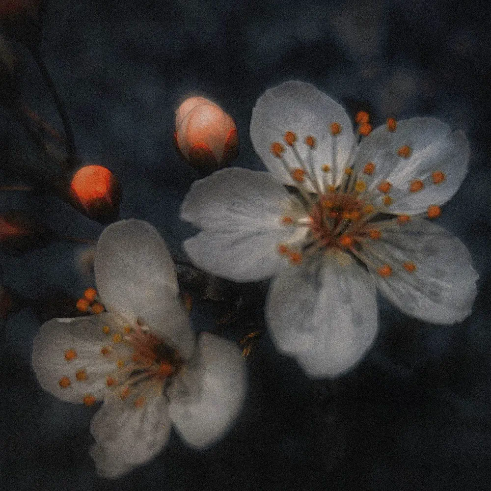 EDEN single cover
